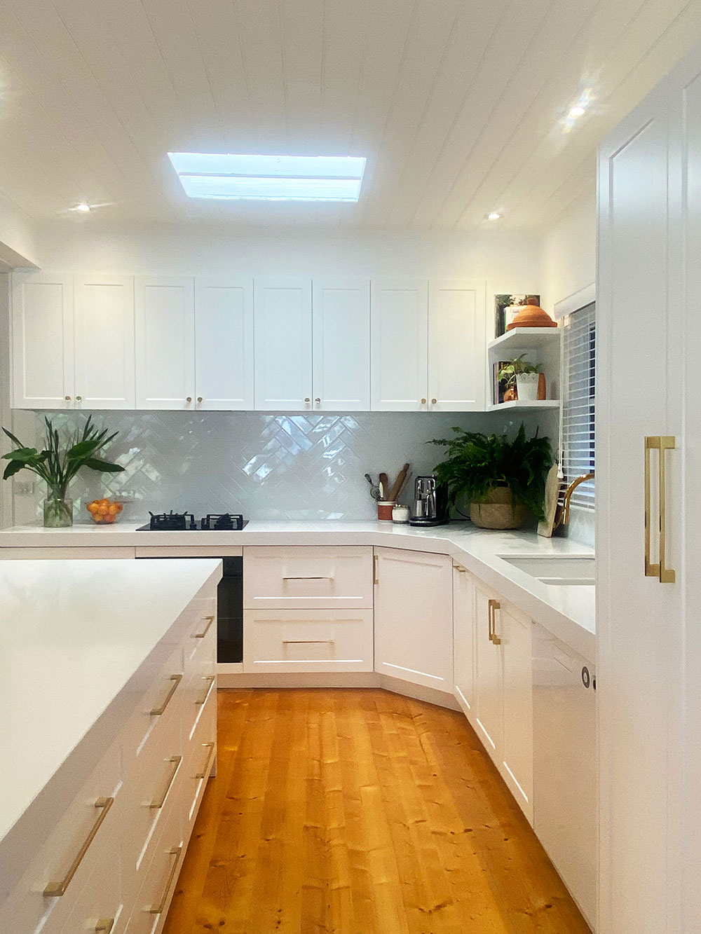 Modern kitchen with white cabinets, wooden floor, plants, and skylight. Modern kitchen with white cabinets, wooden floor, plants, and skylight.